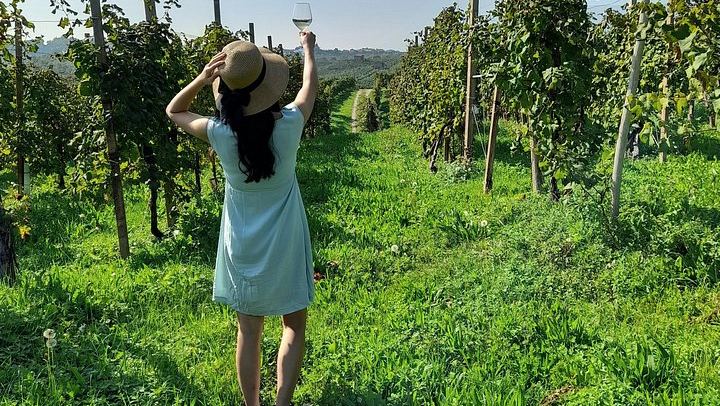Private Prosecco Road Tour for 2 from Conegliano Station: 3 DOCG Wineries, Food Pairings (1/12)