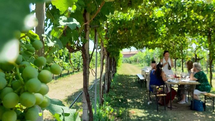 Private Prosecco Road Tour for 2 from Conegliano Station: 3 DOCG Wineries, Food Pairings (2/12)