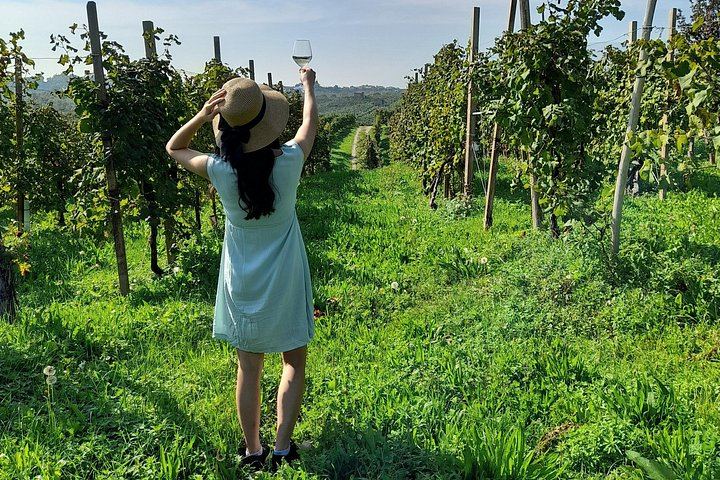 Private Prosecco Road Tour for 2 from Conegliano Station: 3 DOCG Wineries, Food Pairings (1/12)