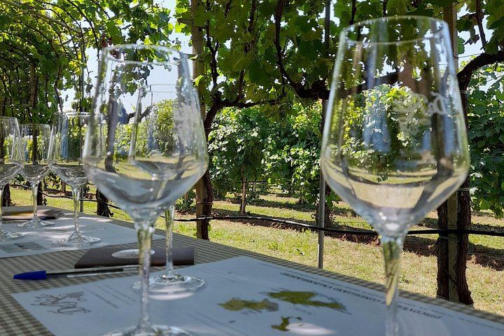 Private Prosecco Road Tour for 2 from Conegliano Station: 3 DOCG Wineries, Food Pairings (10/12)