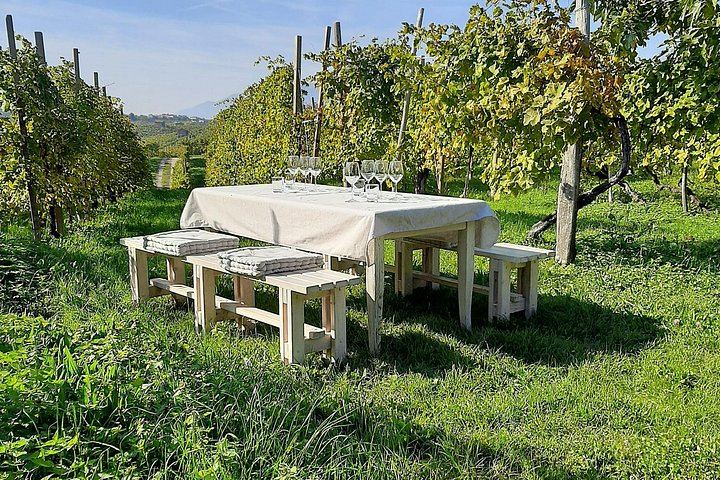 Private Prosecco Road Tour for 2 from Conegliano Station: 3 DOCG Wineries, Food Pairings (3/12)