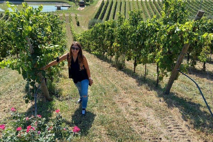 Private Prosecco Road Tour for 2 from Conegliano Station: 3 DOCG Wineries, Food Pairings (9/12)