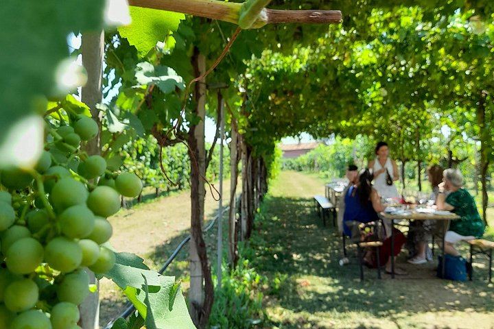 Private Prosecco Road Tour for 2 from Conegliano Station: 3 DOCG Wineries, Food Pairings (2/12)