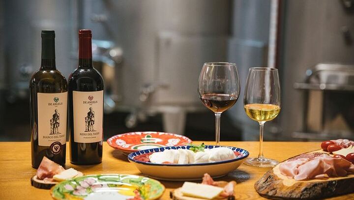 Two-Hour Tasting of 5 Wines at Cantine De Angelis, a Historic Winery in Sorrento (4/5)