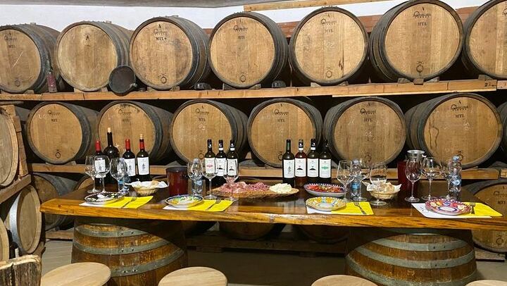 Two-Hour Tasting of 5 Wines at Cantine De Angelis, a Historic Winery in Sorrento (1/5)