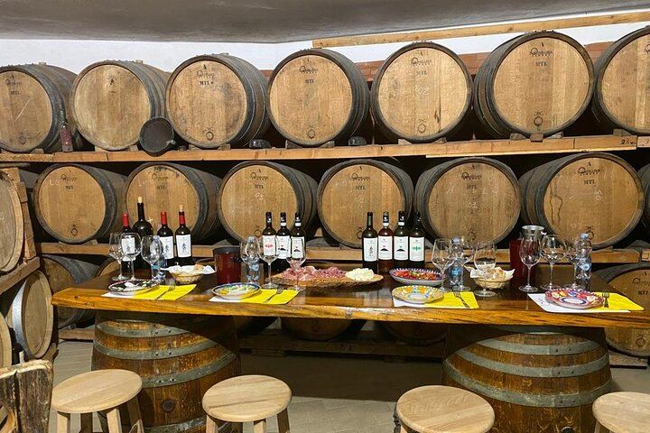 Two-Hour Tasting of 5 Wines at Cantine De Angelis, a Historic Winery in Sorrento (1/5)