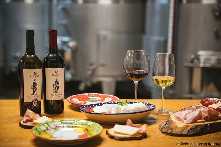 Two-Hour Tasting of 5 Wines at Cantine De Angelis, a Historic Winery in Sorrento (4/5)