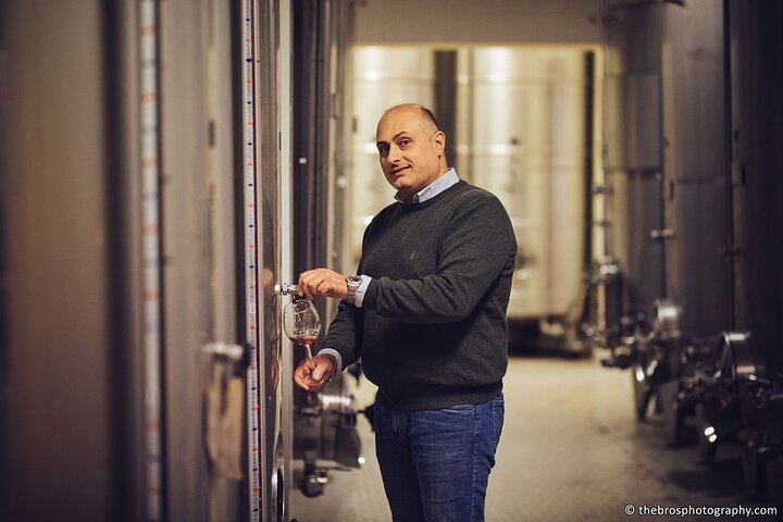 Two-Hour Tasting of 5 Wines at Cantine De Angelis, a Historic Winery in Sorrento (5/5)