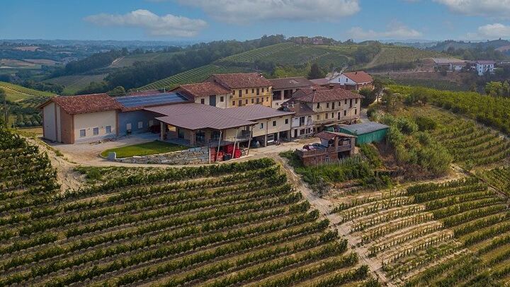 Castellinaldo Family Winery in Roero: 2-Hour Vineyard Walk and Five-Wine Tasting (2/12)