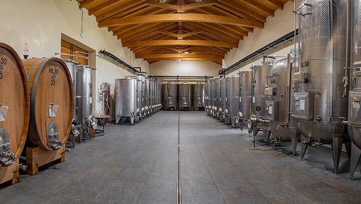 Castellinaldo Family Winery in Roero: 2-Hour Vineyard Walk and Five-Wine Tasting (1/12)