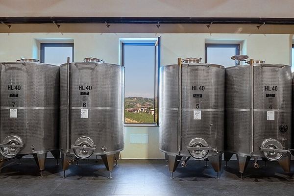Castellinaldo Family Winery in Roero: 2-Hour Vineyard Walk and Five-Wine Tasting
