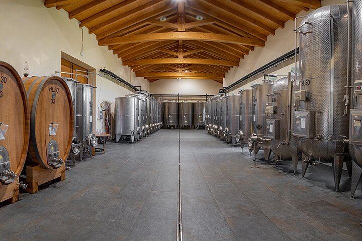 Castellinaldo Family Winery in Roero: 2-Hour Vineyard Walk and Five-Wine Tasting (1/12)