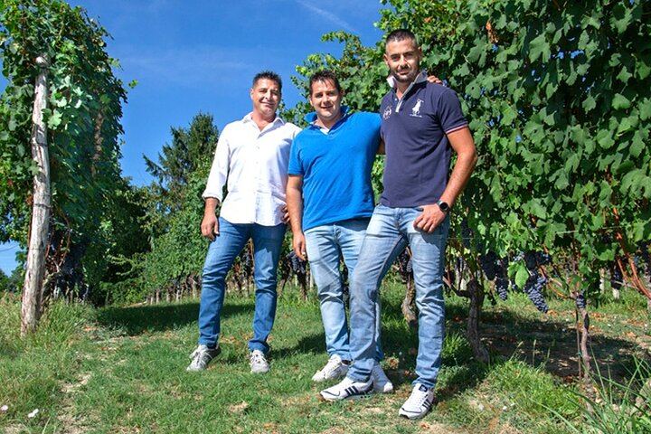 Castellinaldo Family Winery in Roero: 2-Hour Vineyard Walk and Five-Wine Tasting (8/12)