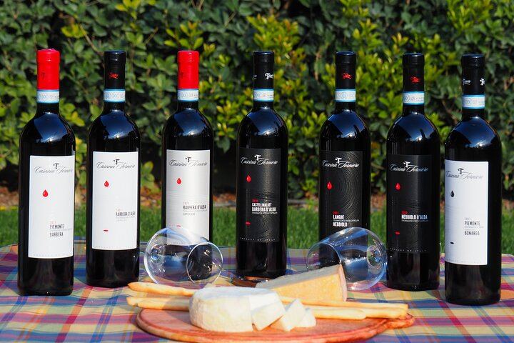 Castellinaldo Family Winery in Roero: 2-Hour Vineyard Walk and Five-Wine Tasting (10/12)