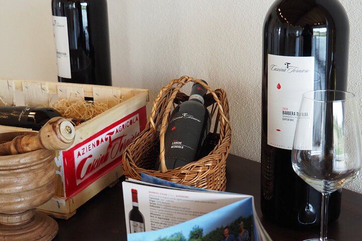 Castellinaldo Family Winery in Roero: 2-Hour Vineyard Walk and Five-Wine Tasting (7/12)