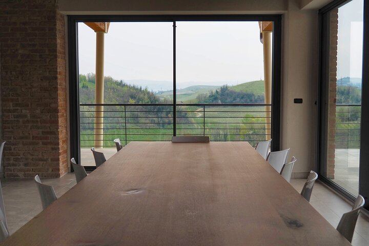 Castellinaldo Family Winery in Roero: 2-Hour Vineyard Walk and Five-Wine Tasting (5/12)