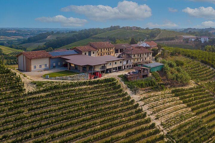 Castellinaldo Family Winery in Roero: 2-Hour Vineyard Walk and Five-Wine Tasting (2/12)