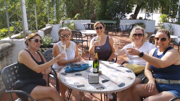 Sitges Afternoon Wine Tour by Van: Two Penedès Wineries, Caves Romagosa Torné and Can Lleó (5/7)