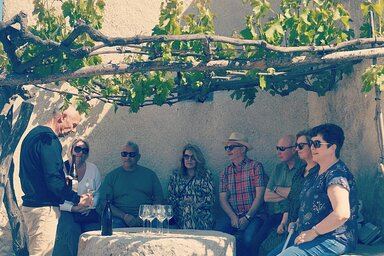 Sitges Afternoon Wine Tour by Van: Two Penedès Wineries, Caves Romagosa Torné and Can Lleó