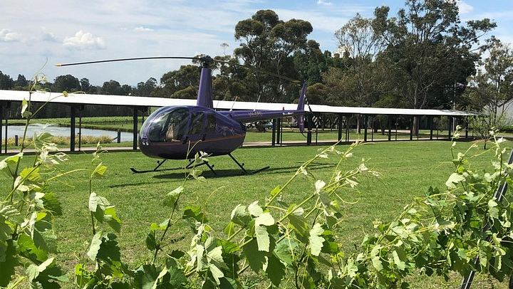 Helicopter Wine Tasting Flight from Cessnock Airport, 3 Hours, Two Hunter Valley Wineries (3/5)