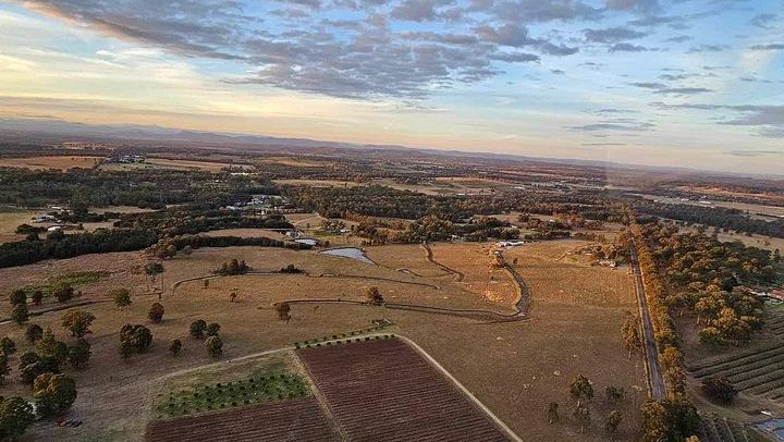 Helicopter Wine Tasting Flight from Cessnock Airport, 3 Hours, Two Hunter Valley Wineries (2/5)
