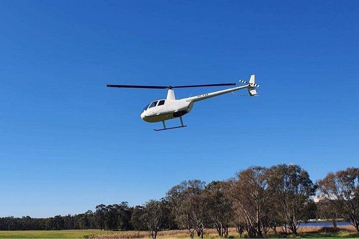 Helicopter Wine Tasting Flight from Cessnock Airport, 3 Hours, Two Hunter Valley Wineries (1/5)