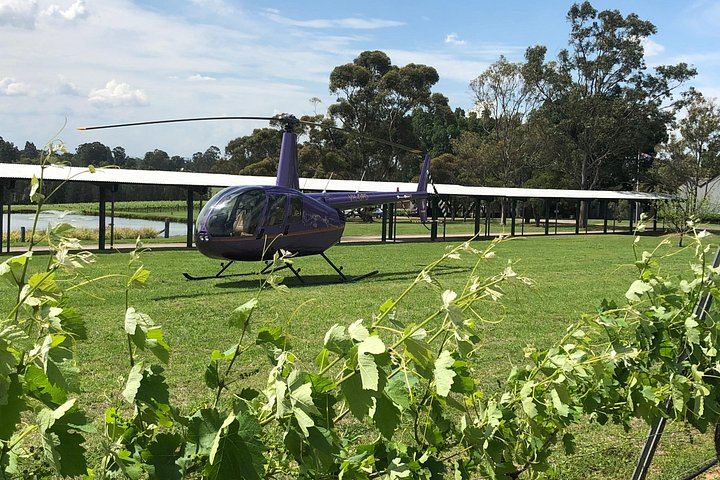 Helicopter Wine Tasting Flight from Cessnock Airport, 3 Hours, Two Hunter Valley Wineries (3/5)