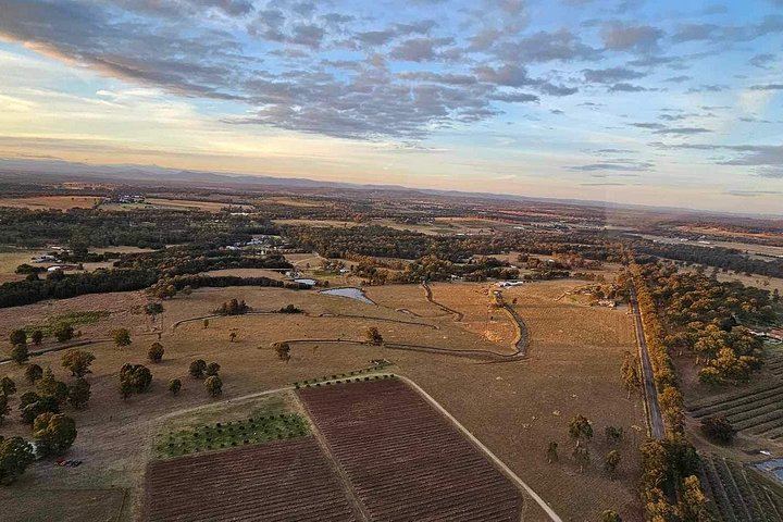 Helicopter Wine Tasting Flight from Cessnock Airport, 3 Hours, Two Hunter Valley Wineries (2/5)