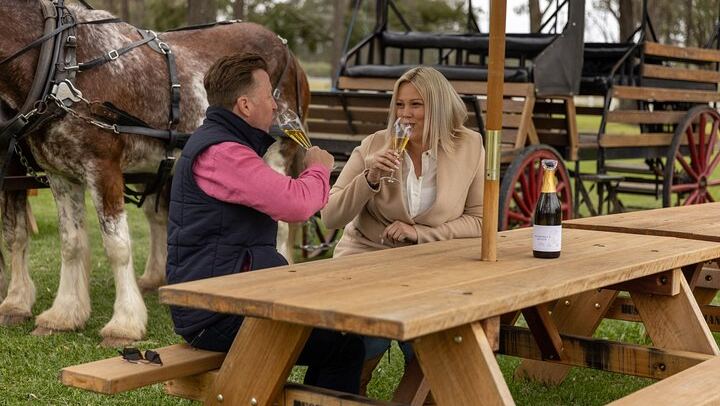 Harvest the Hunter: 3-Hour Horse and Carriage Wine Tour in Pokolbin with Three Tastings (3/5)