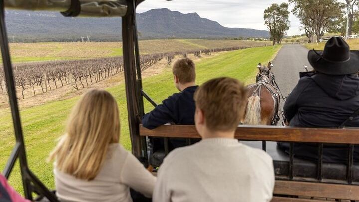 Harvest the Hunter: 3-Hour Horse and Carriage Wine Tour in Pokolbin with Three Tastings (4/5)