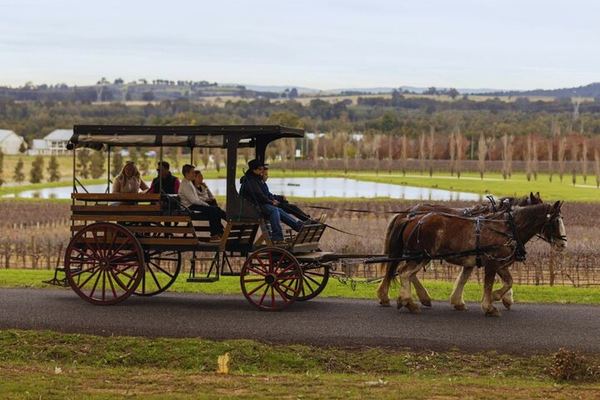 Harvest the Hunter: 3-Hour Horse and Carriage Wine Tour in Pokolbin with Three Tastings