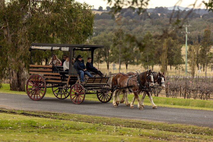 Harvest the Hunter: 3-Hour Horse and Carriage Wine Tour in Pokolbin with Three Tastings (1/5)