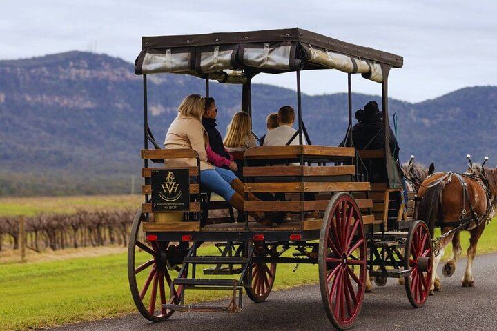 Harvest the Hunter: 3-Hour Horse and Carriage Wine Tour in Pokolbin with Three Tastings (5/5)