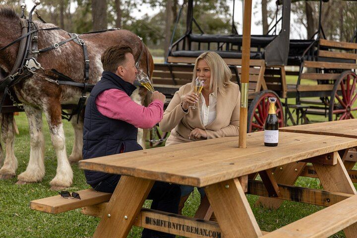 Harvest the Hunter: 3-Hour Horse and Carriage Wine Tour in Pokolbin with Three Tastings (3/5)