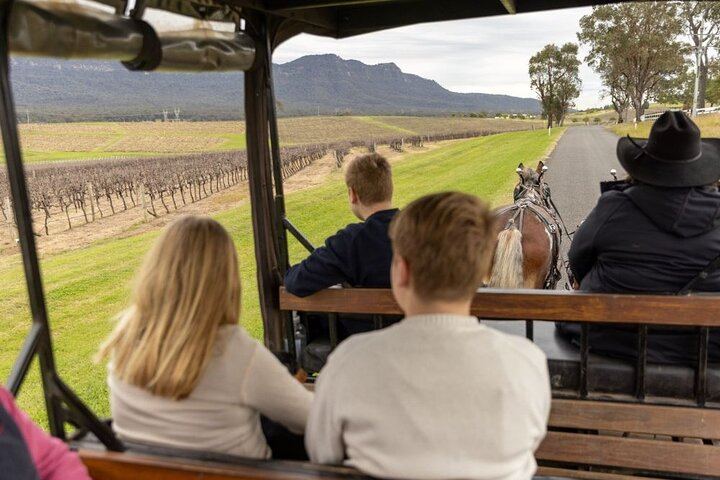 Harvest the Hunter: 3-Hour Horse and Carriage Wine Tour in Pokolbin with Three Tastings (4/5)