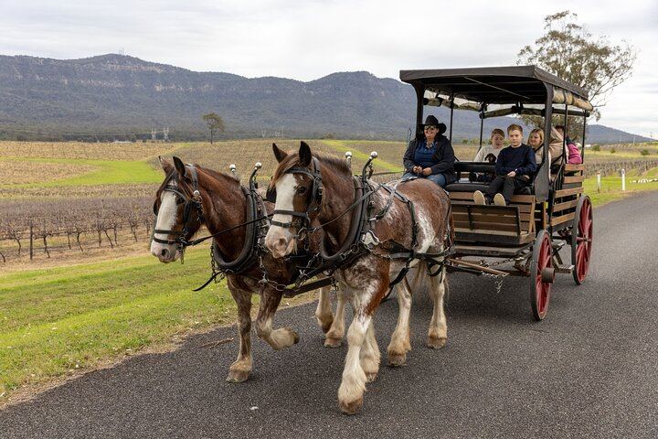 Harvest the Hunter: 3-Hour Horse and Carriage Wine Tour in Pokolbin with Three Tastings (2/5)