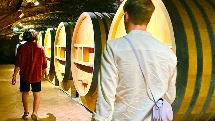 3-Hour Châteauneuf-du-Pape Wine Tour from Avignon: Two Estates, Six Wines, Two Whites (2/9)