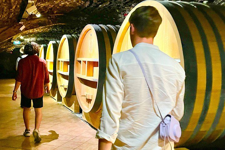 3-Hour Châteauneuf-du-Pape Wine Tour from Avignon: Two Estates, Six Wines, Two Whites (2/9)