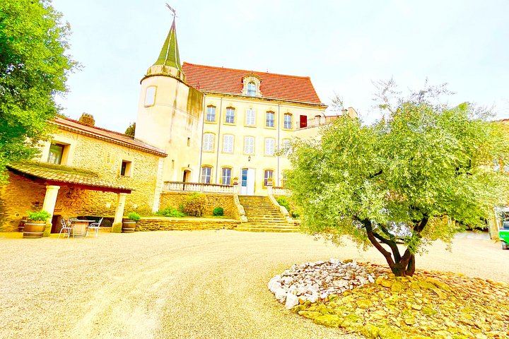 3-Hour Châteauneuf-du-Pape Wine Tour from Avignon: Two Estates, Six Wines, Two Whites (3/9)