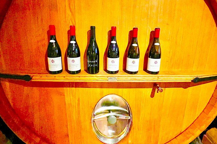 3-Hour Châteauneuf-du-Pape Wine Tour from Avignon: Two Estates, Six Wines, Two Whites (5/9)