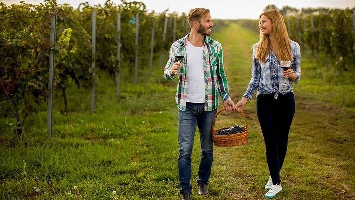 3-Hour Customizable Niagara-on-the-Lake Wine Tour with Driver and Town Stroll (3/5)