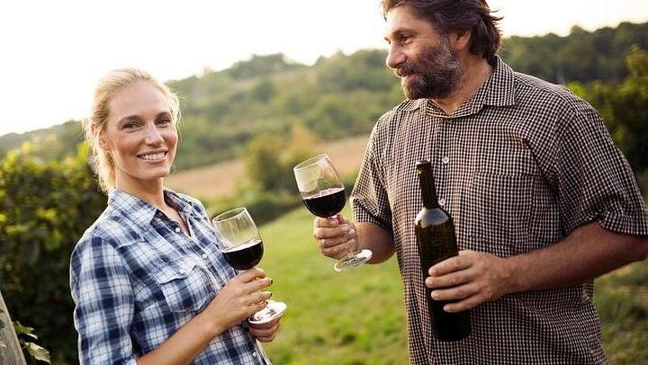 3-Hour Customizable Niagara-on-the-Lake Wine Tour with Driver and Town Stroll (2/5)