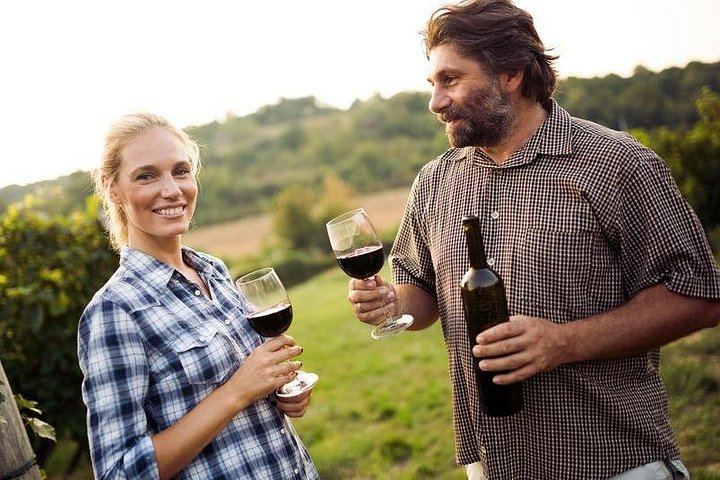 3-Hour Customizable Niagara-on-the-Lake Wine Tour with Driver and Town Stroll (2/5)