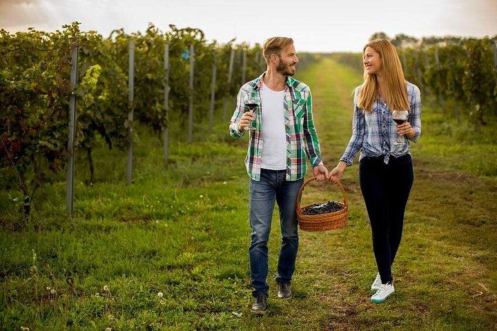 3-Hour Customizable Niagara-on-the-Lake Wine Tour with Driver and Town Stroll (3/5)