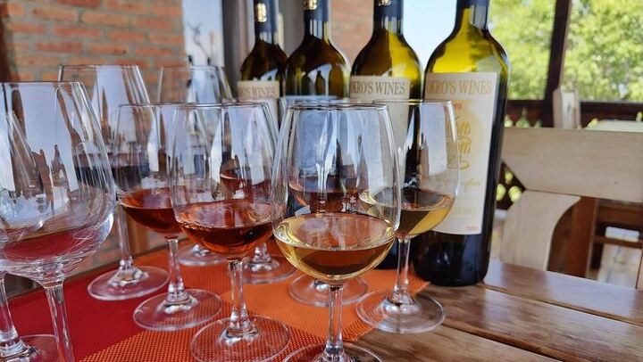 Private Organic Wine Day Trip from Tbilisi: Gvardzelashvili, Vellino and Okros Cellars (3/12)