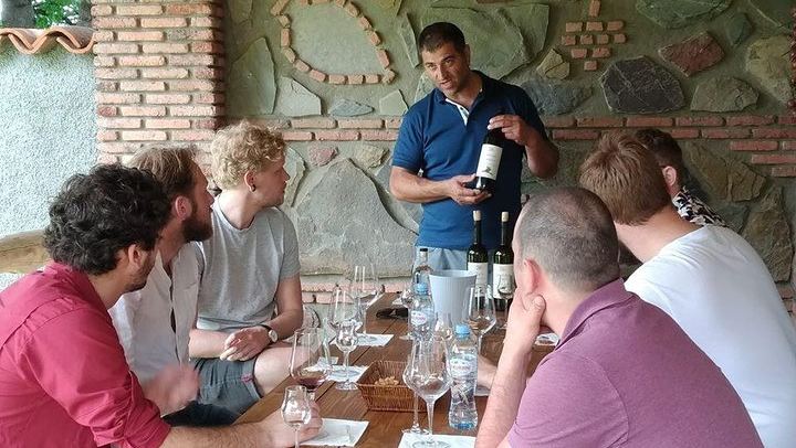 Private Organic Wine Day Trip from Tbilisi: Gvardzelashvili, Vellino and Okros Cellars (4/12)
