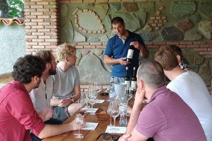 Private Organic Wine Day Trip from Tbilisi: Gvardzelashvili, Vellino and Okros Cellars (4/12)