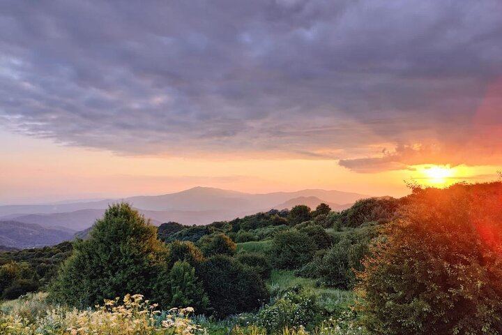 Private Organic Wine Day Trip from Tbilisi: Gvardzelashvili, Vellino and Okros Cellars (5/12)