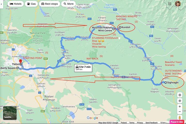 Private Organic Wine Day Trip from Tbilisi: Gvardzelashvili, Vellino and Okros Cellars (8/12)
