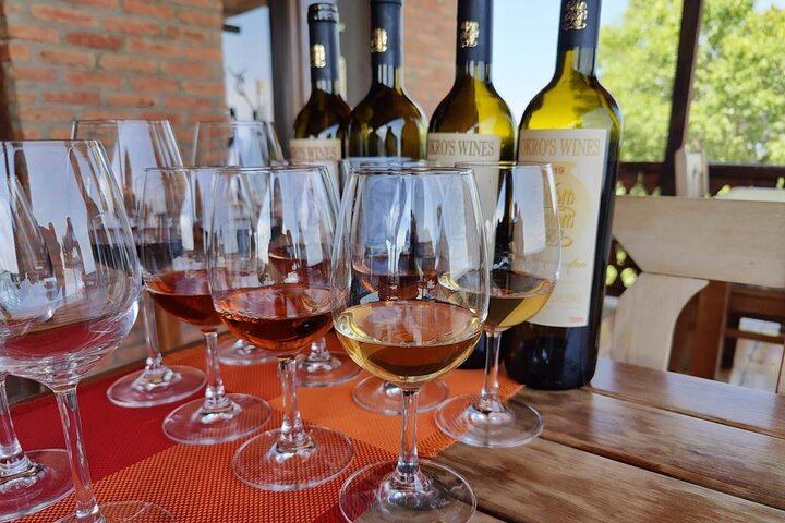 Private Organic Wine Day Trip from Tbilisi: Gvardzelashvili, Vellino and Okros Cellars (3/12)